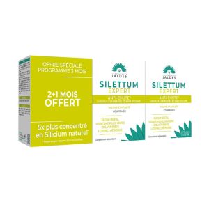 SILETTUM EXPERT ANTI CHUTE 3 MOIS