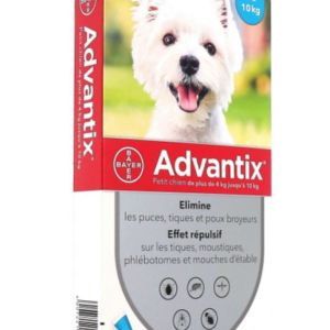 Advantix Petit Chien x6 pipettes