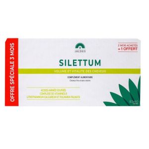 Silettum Gélules 2x60 capsules+60 capsules Offertes