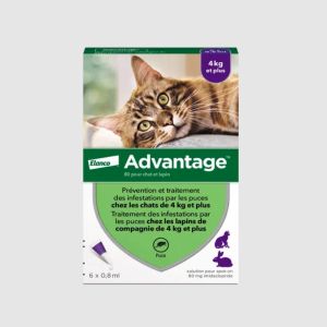 ADVANTAGE 80 - Traitement Anti-Puces pour Chats et Lapins 4kg et +, 6 pipettes