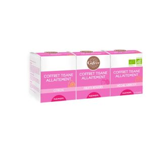 GIFRER TISANE COFFRET ALLAITEMENT 30 SACHETS