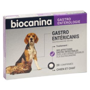 Biocanina Gastro entericanis Comprimés x20