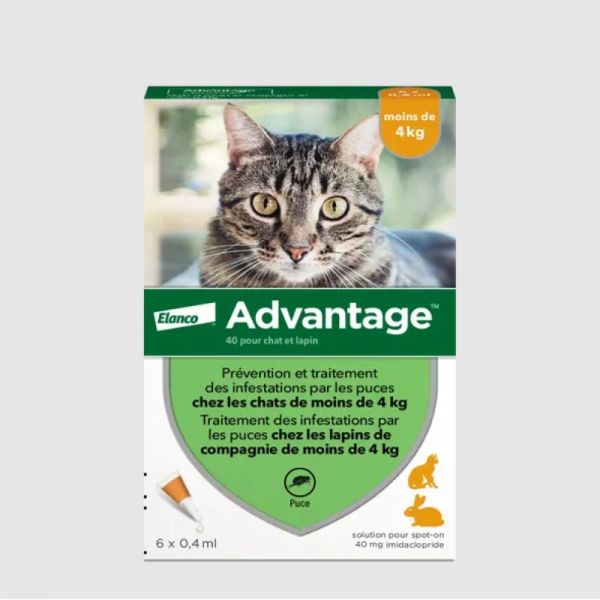 ADVANTAGE 40 - Traitement Anti-Puces pour Chats et Lapins -4kg, 6 pipettes