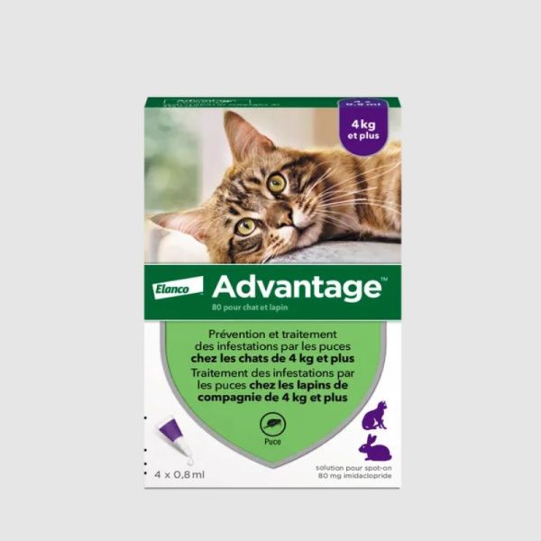 ADVANTAGE 80 - Traitement Anti-Puces pour Chats et Lapins 4kg et +, 4 pipettes